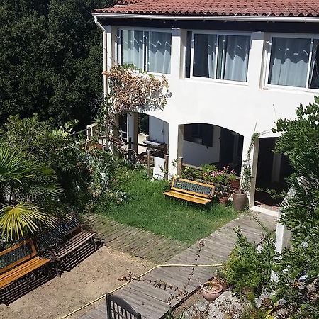 Le Gîte Radica Eccica-Suarella  Extérieur photo