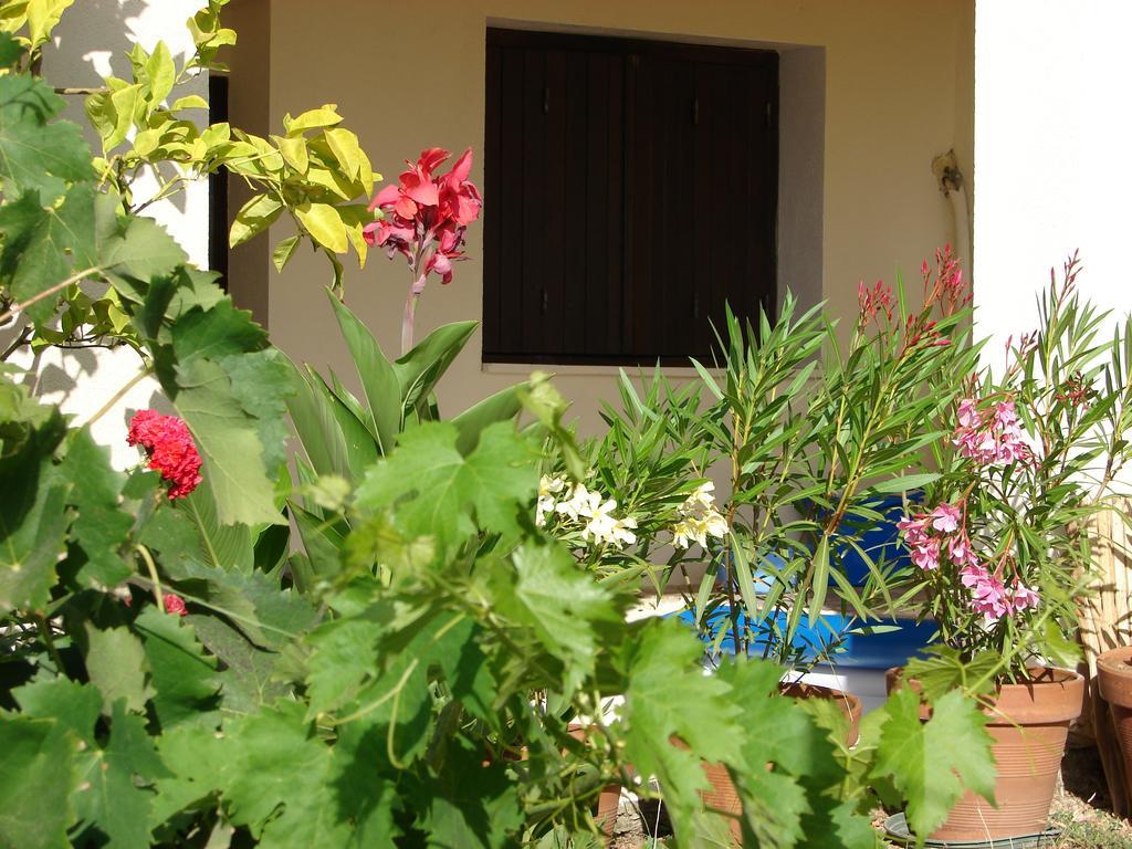 Le Gîte Radica Eccica-Suarella  Chambre photo